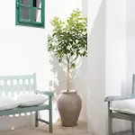 Relais San Martino - Salento 4* Taviano (Lecce)