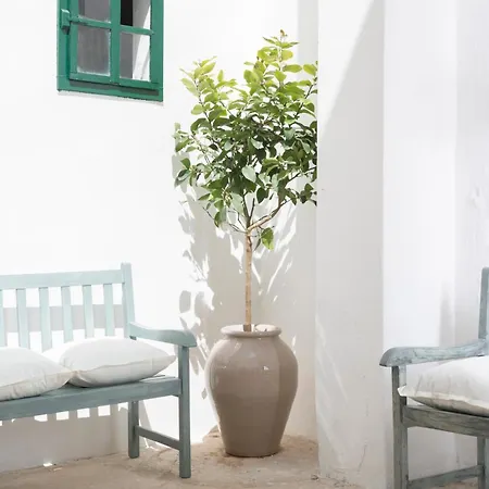 Relais San Martino - Salento 4* Taviano (Lecce)